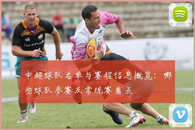 中超球队名单与赛程信息概览：哪些球队参赛及常规赛看点