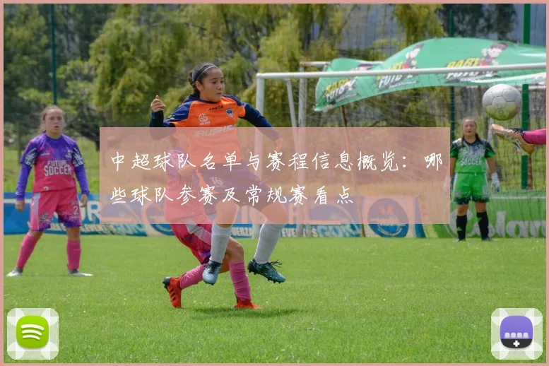 中超球队名单与赛程信息概览：哪些球队参赛及常规赛看点