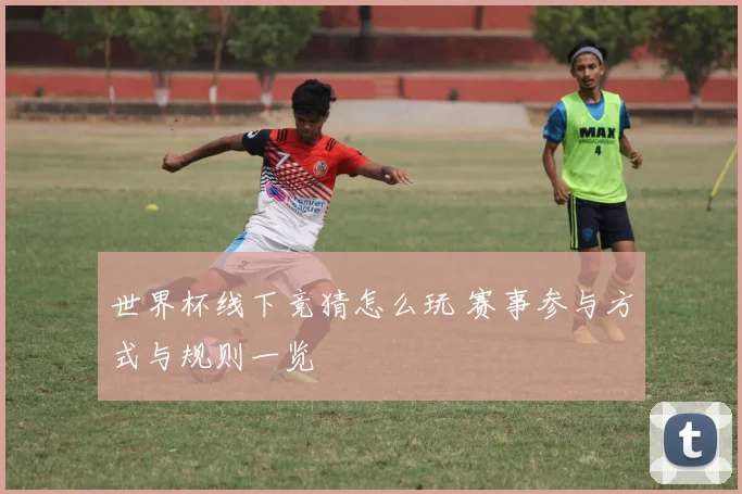 世界杯线下竞猜怎么玩 赛事参与方式与规则一览
